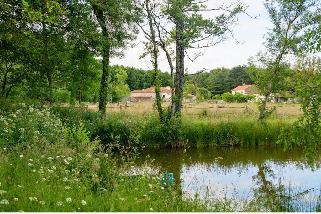 L'Evasion En Pierre Piscine Et Etang Prive Villa Sevremoine Buitenkant foto